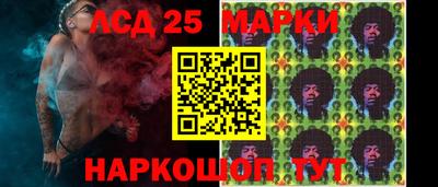 гидра Заводоуковск