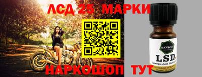 гидра Заводоуковск