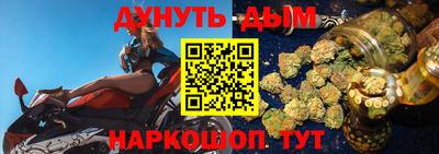 гидра Заводоуковск
