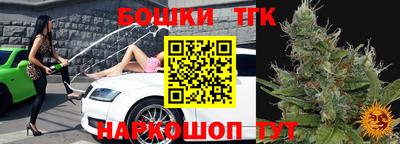 гидра Заводоуковск